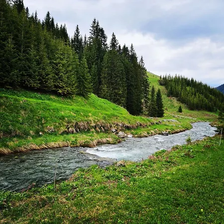 D'rock Arosa- 4 Nightlife Location By Nature Switzerland (adults Only) Lägenhet *